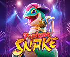 Fortune Snake